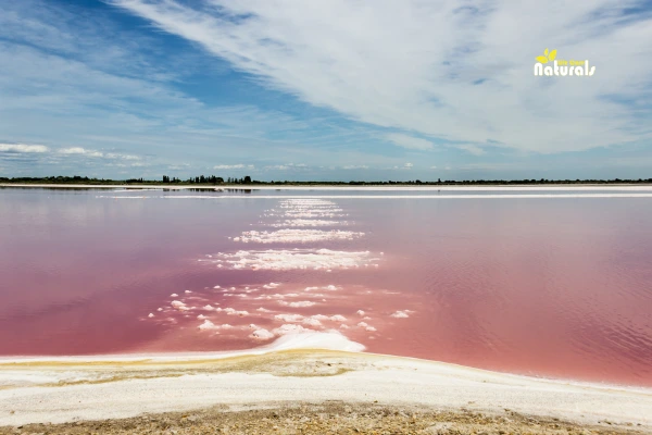 পিংক সল্টের উপকারিতা
